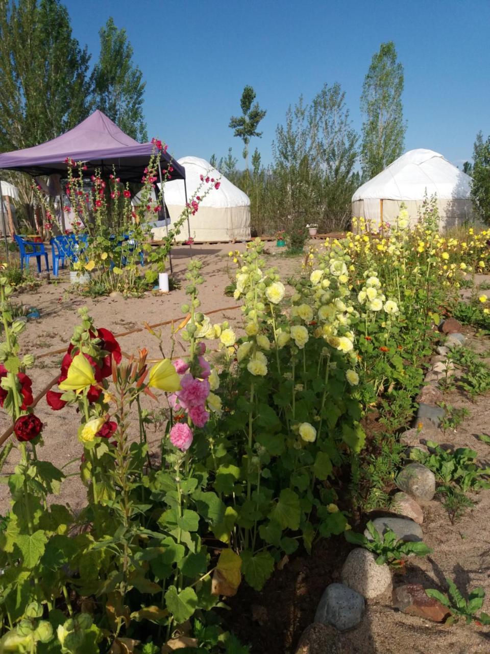 Yurt Camp Tosor Ξενοδοχείο Εξωτερικό φωτογραφία